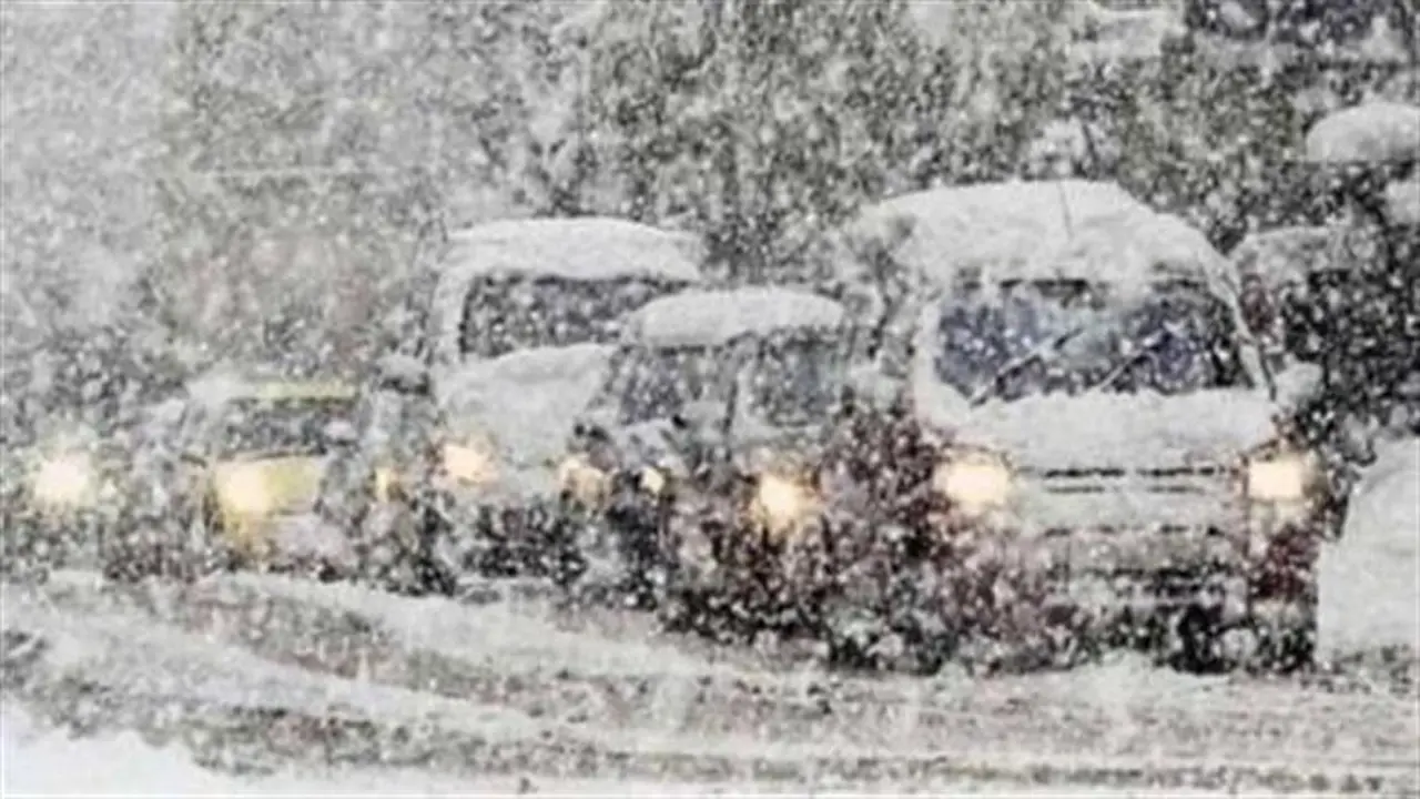 صقيع يهدد غدًا.. موجة برودة شديدة وشبورة مع رذاذ أمطار خفيف